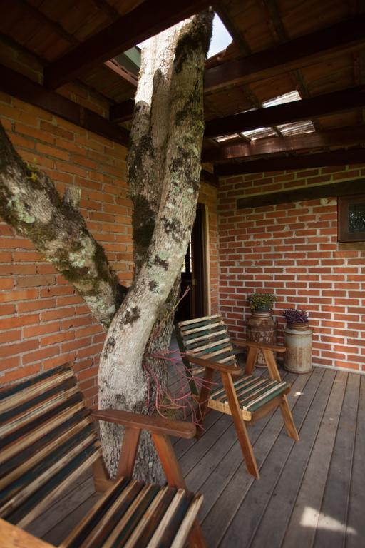 Loft No Campo Proximo Ao Vale Dos Vinhedos Villa Гарибалди Екстериор снимка